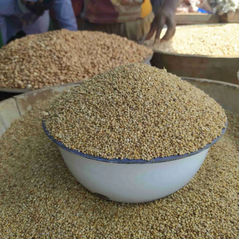 Mil Souna Traditionnel du Saloum — Banabana Agro Sénégal