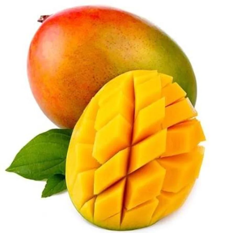 Mangues Kent de Pout — Banabana Agro Sénégal